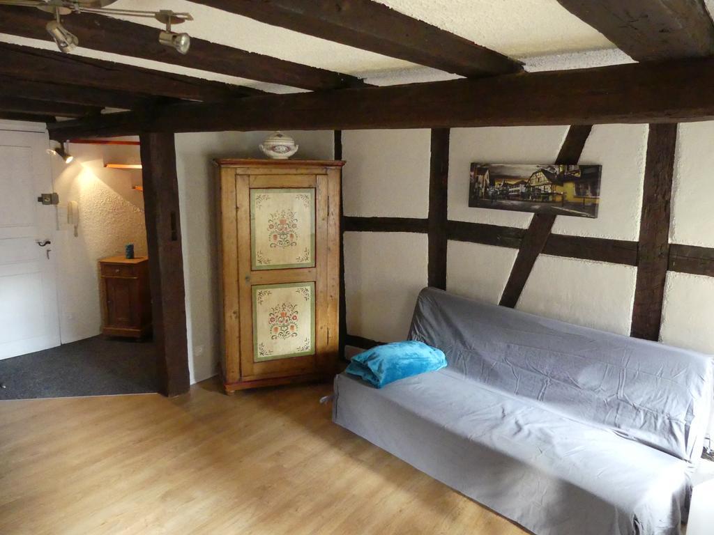 Apartment Chaleureux Colmar