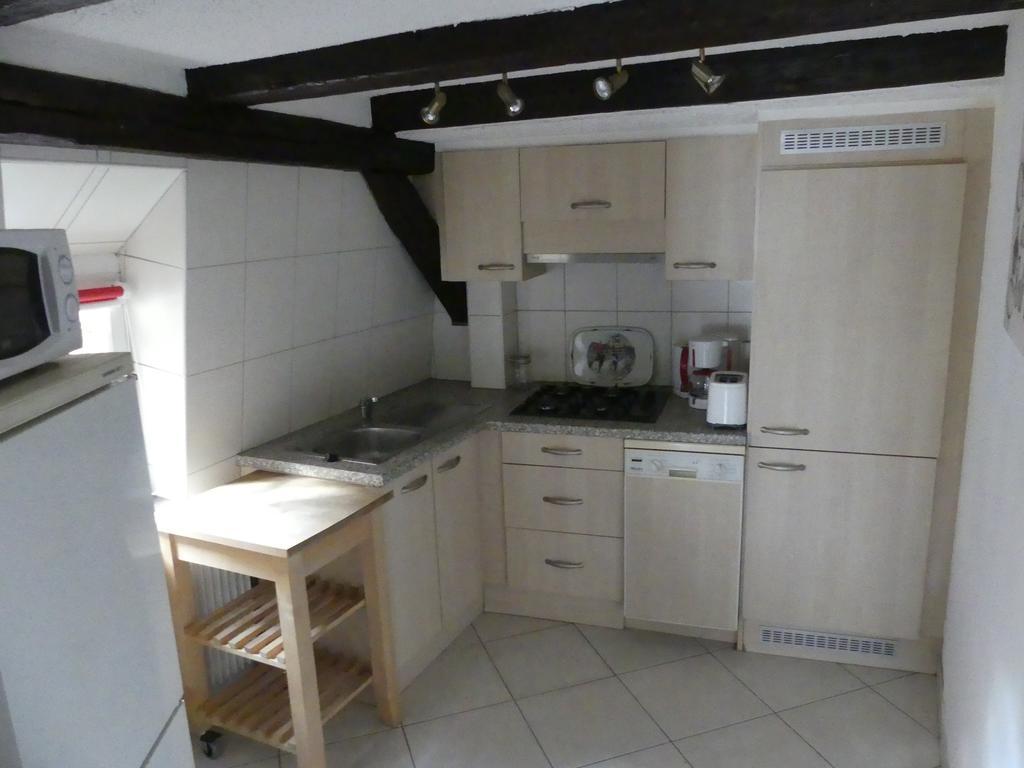 Apartment Chaleureux Colmar